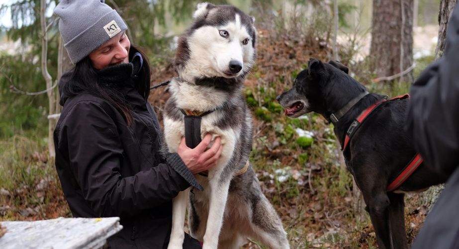 Jongerenreizen Lapland